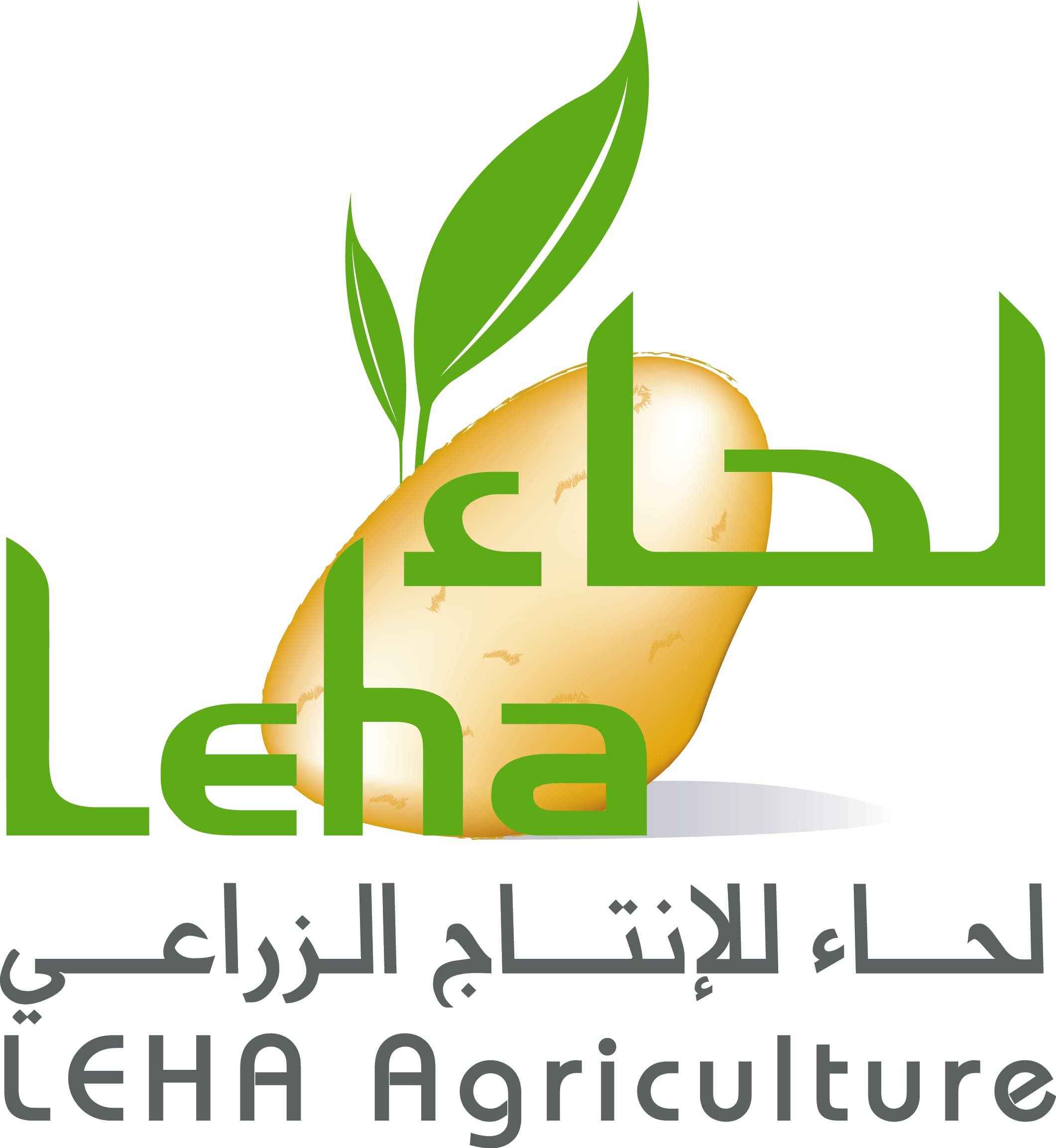 شركة لحاء
